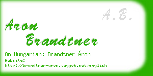 aron brandtner business card